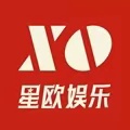 项目11